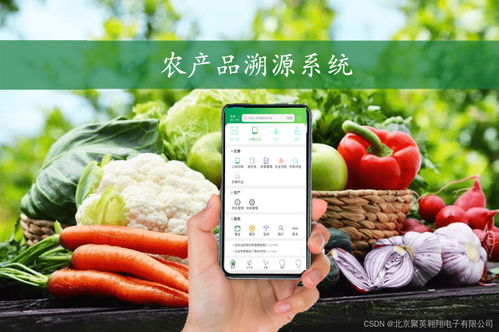 揭開農產品溯源系統的神秘面紗 守護餐桌上的每一份信任