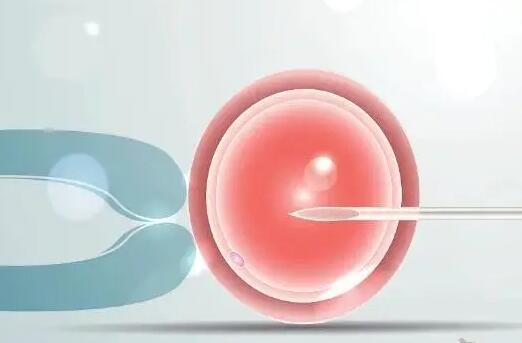 三代试管可以移植两个胚胎但会增加手术风险和费用